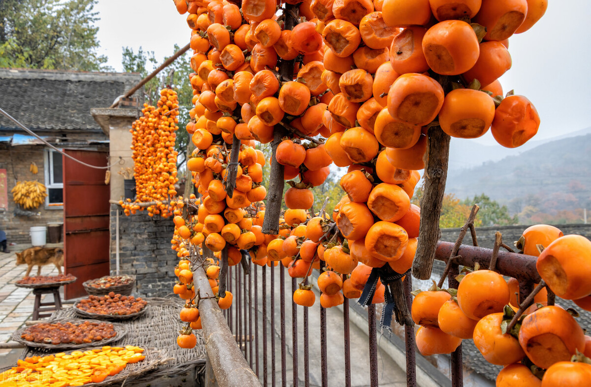 散文寻一处静谧,独居山林的隐居生活散文