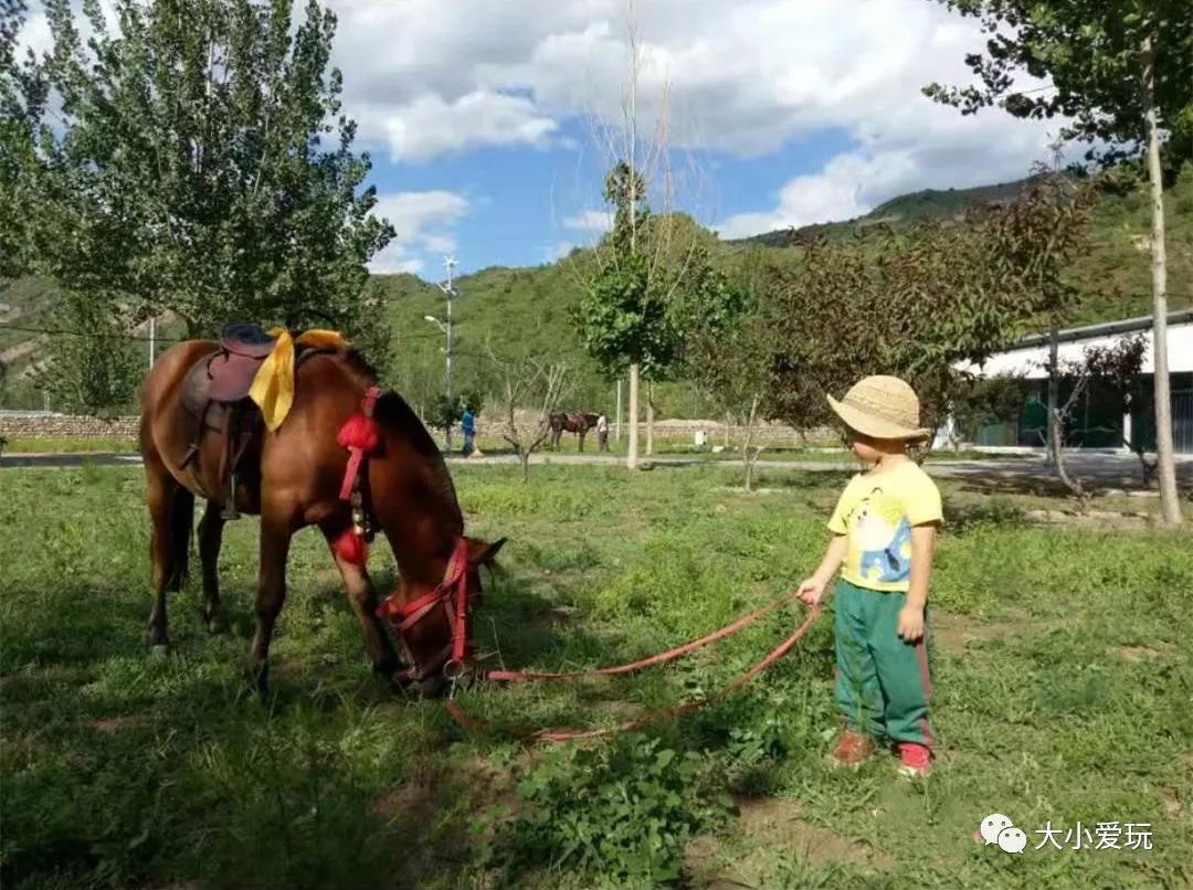 距离北京近的草原房车营地,北京周边房车营地推荐