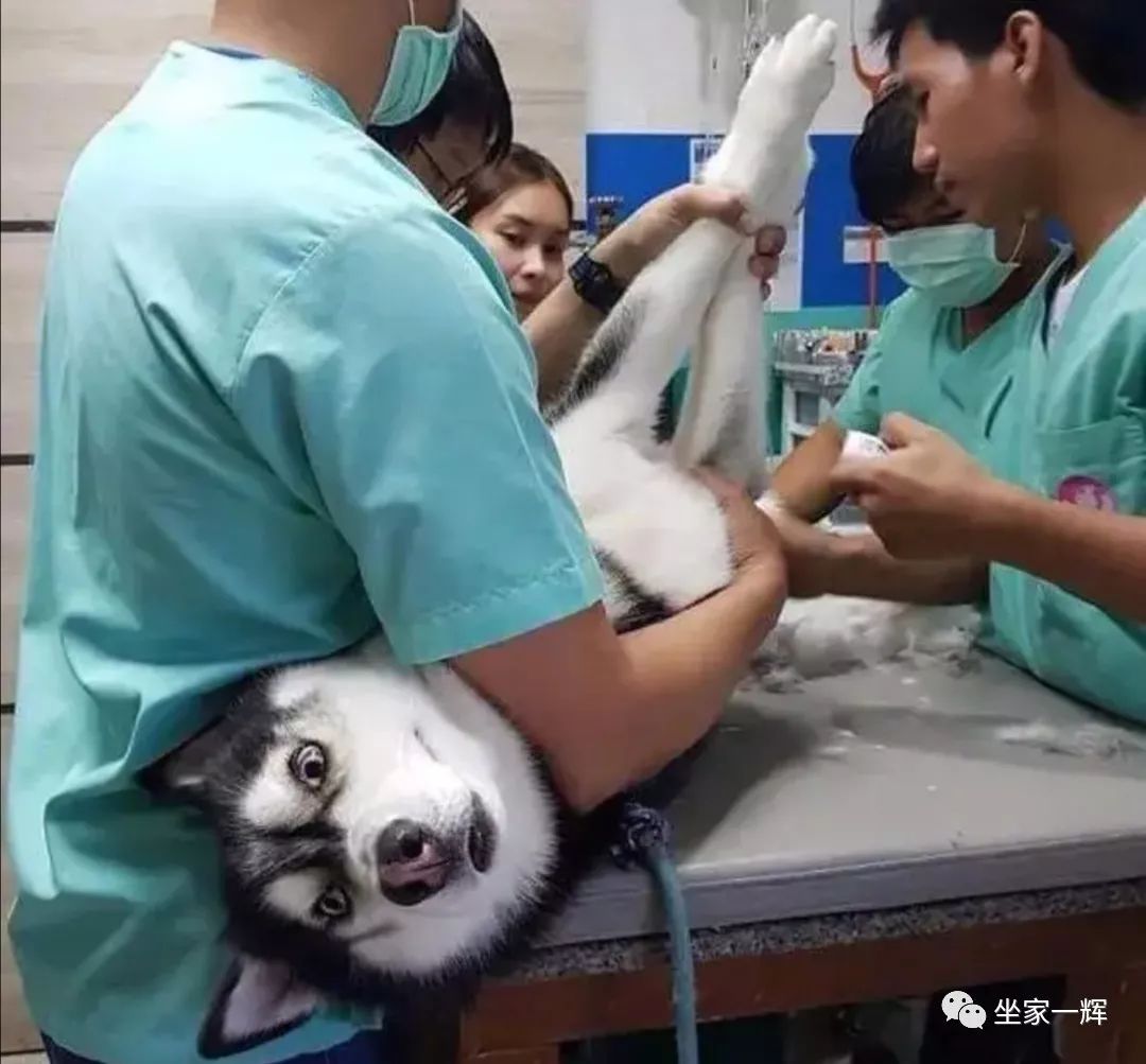 常见的20种网赚骗术揭秘,韭菜有效套路