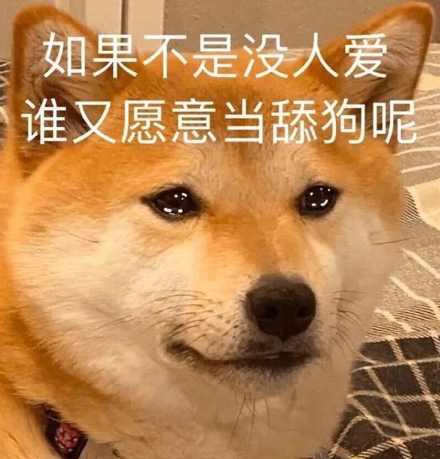 感情里经常当舔狗的星座男,和摩羯男有缘无份的星座