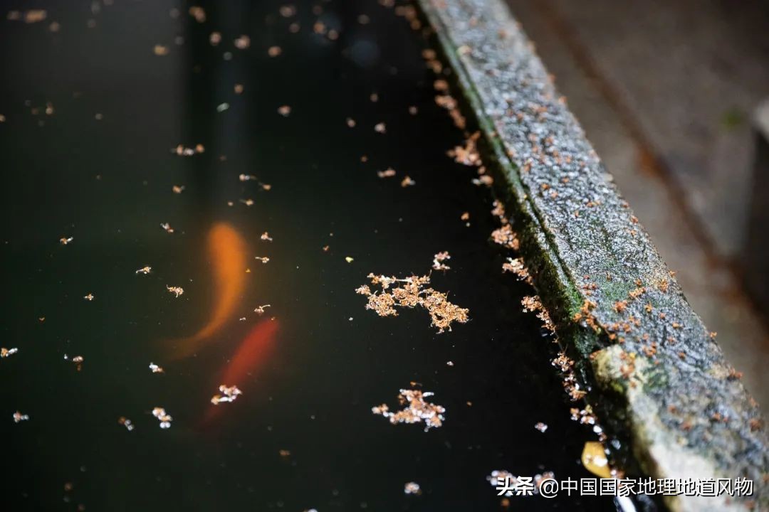 浙江绍兴跟杭州差多远,浙江绍兴和杭州哪个好玩