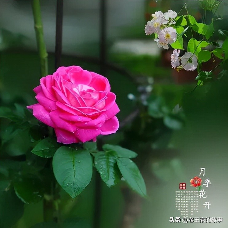 与人交谈的三大忠告,交谈的禁忌行为