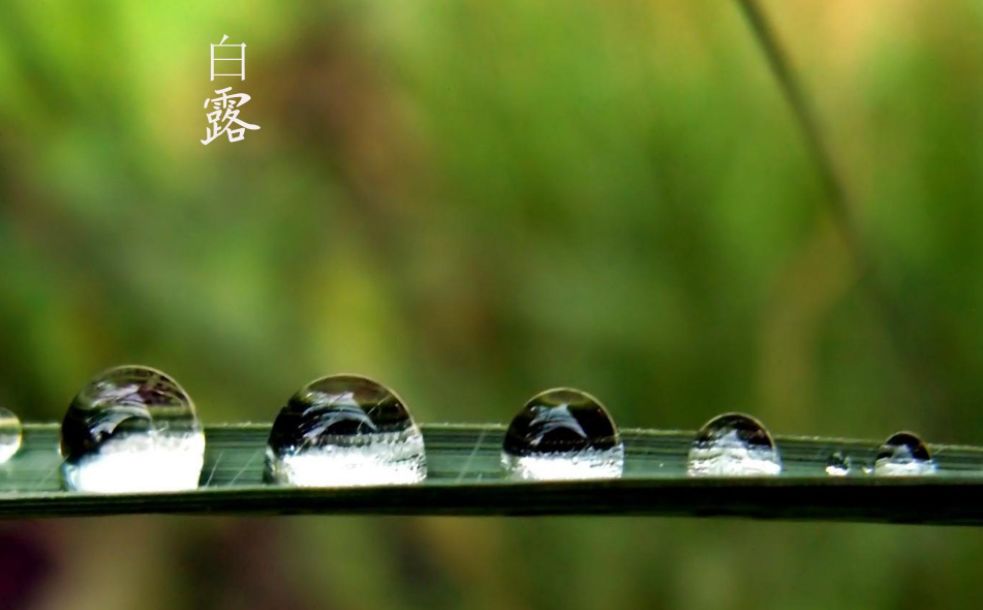 「诗词鉴赏」清风至，白露生，那些优美的白露诗词