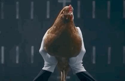 手机稳定器使用方法和技巧图文,新手手机稳定器怎么拍得稳