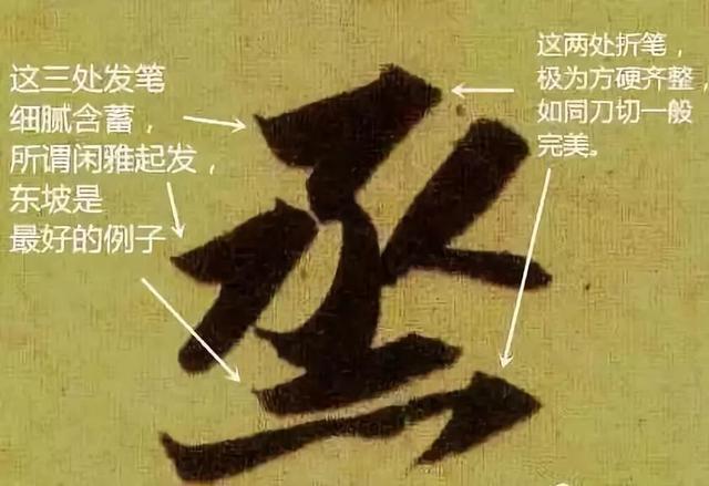 先把基础知识学好,先把基础练好再练技术动作