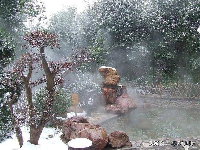 庐江金孔雀温泉门票,合肥庐江金孔雀温泉攻略