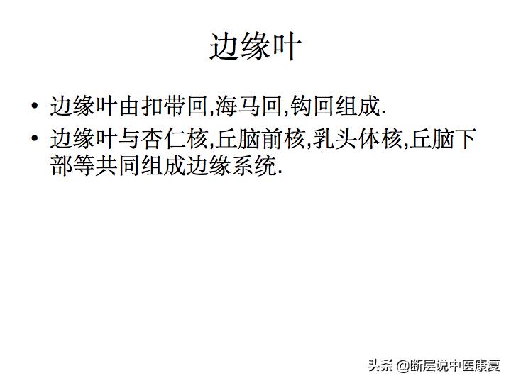 中枢神经系统断层解剖讲解,中枢神经3d解剖动画