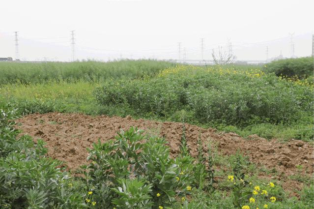 实探新城区最新消息,实探湖景新板块