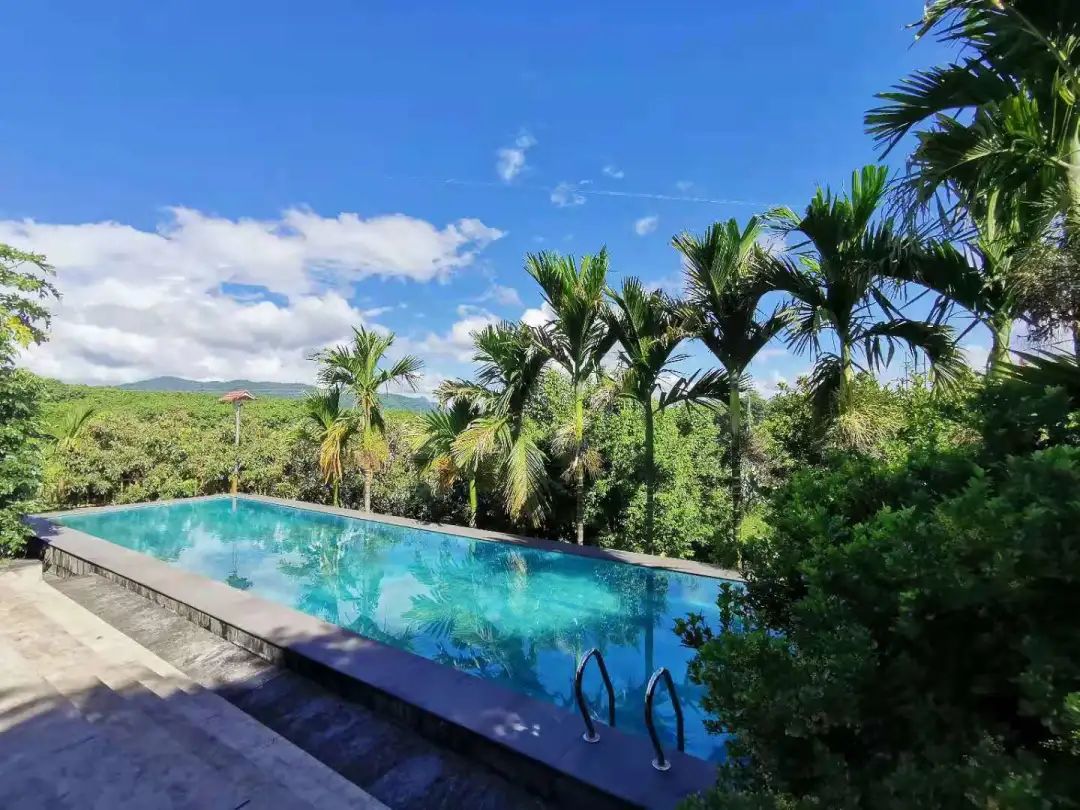 琼中秋之韵山水民宿,琼中蜜柚山庄民宿