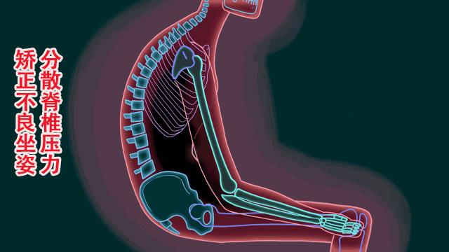 自制久坐护臀座垫,多功能坐垫立体护臀缓解久坐疲劳