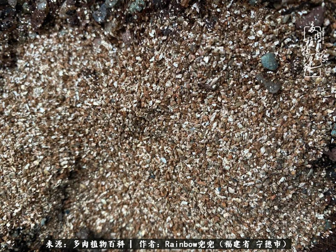 岁月无波澜余生不悲欢是啥意思,愿你岁月无波澜敬我余生无悲欢