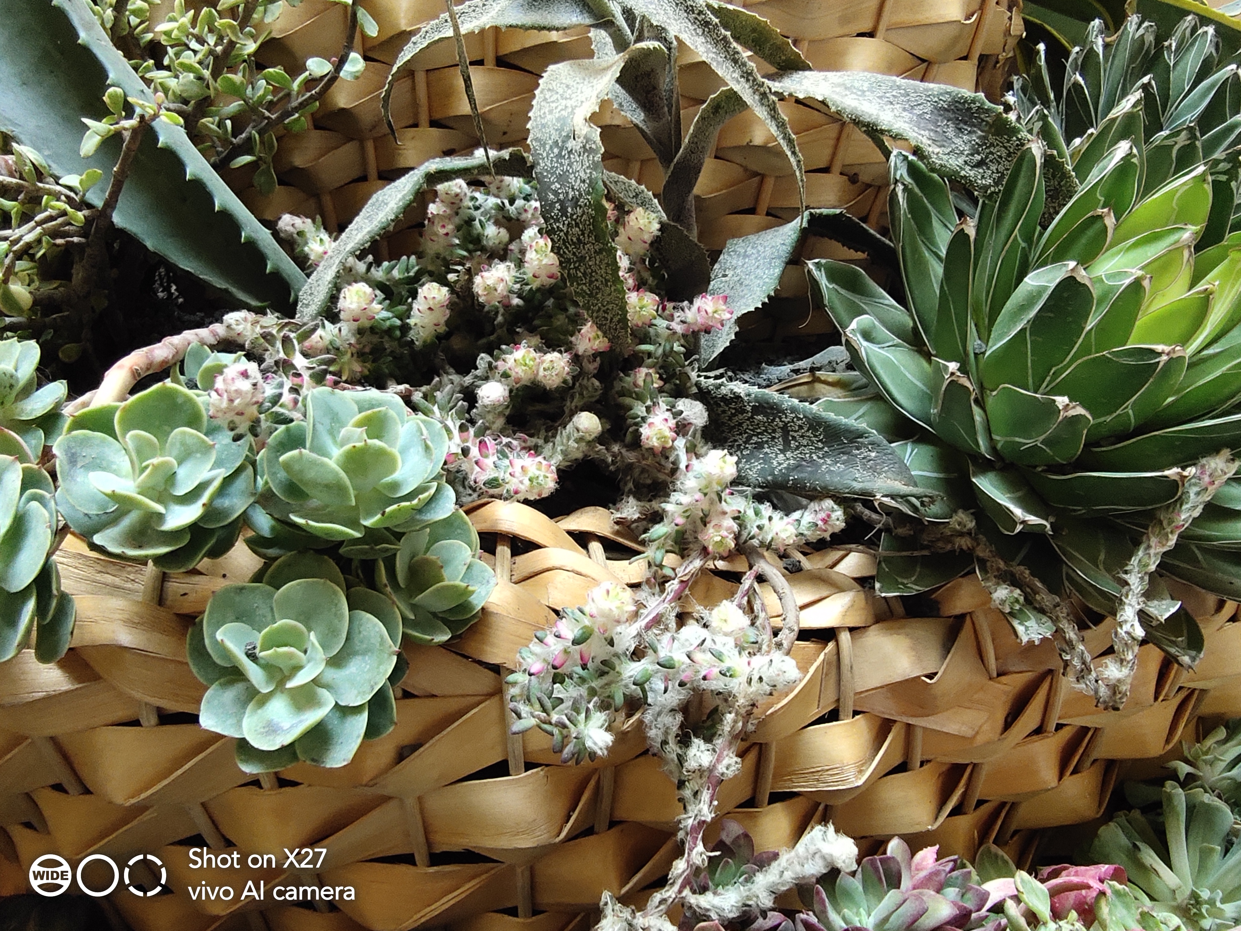 vivoX27评测：值不值得买就看这三个点，没打动你就别买了！