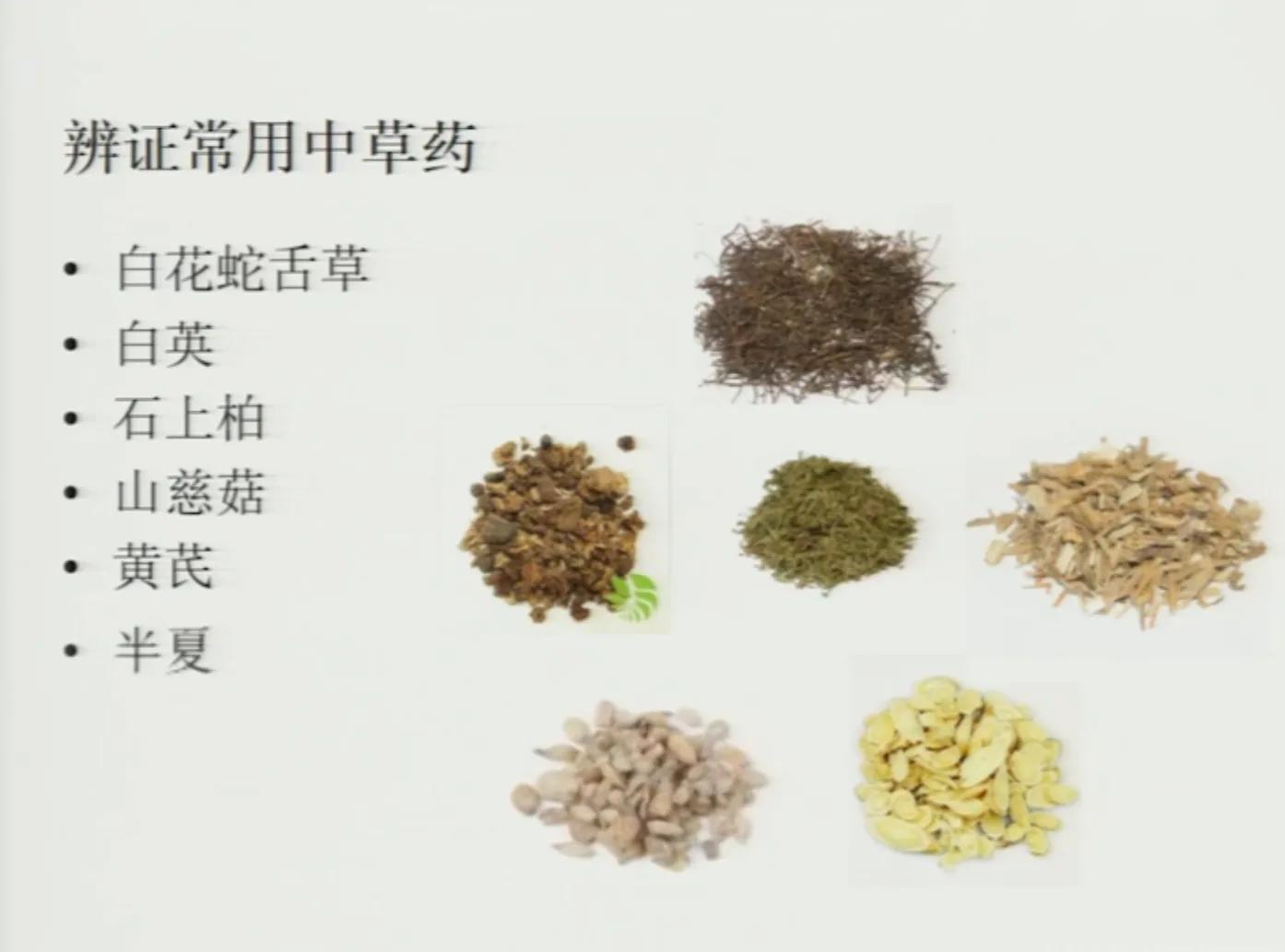 中医药治疗肿瘤的特色和优势,中医药治疗肿瘤的历史