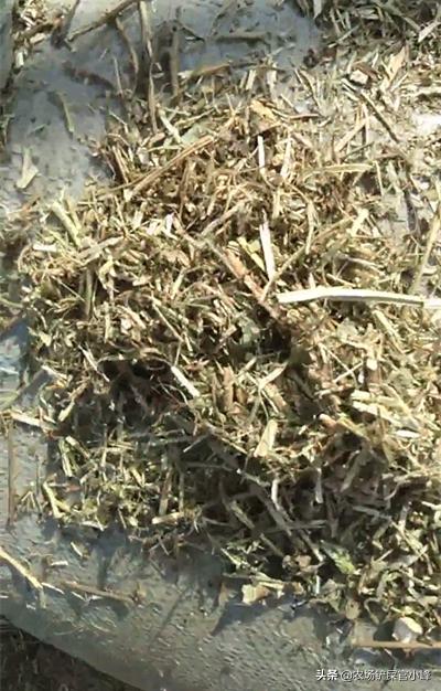 花生种免费经营模式,免费摘花生项目