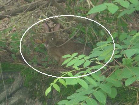 扒一扒中国的世界之最,扒一扒世界最大关公庙