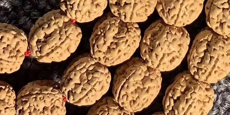 小金刚菩提梅花纹路什么价位,小金刚菩提什么纹路的最好