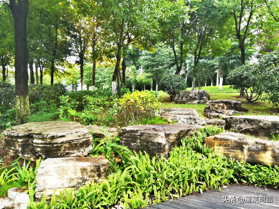 自贡汇东足球,自贡5人制足球联赛