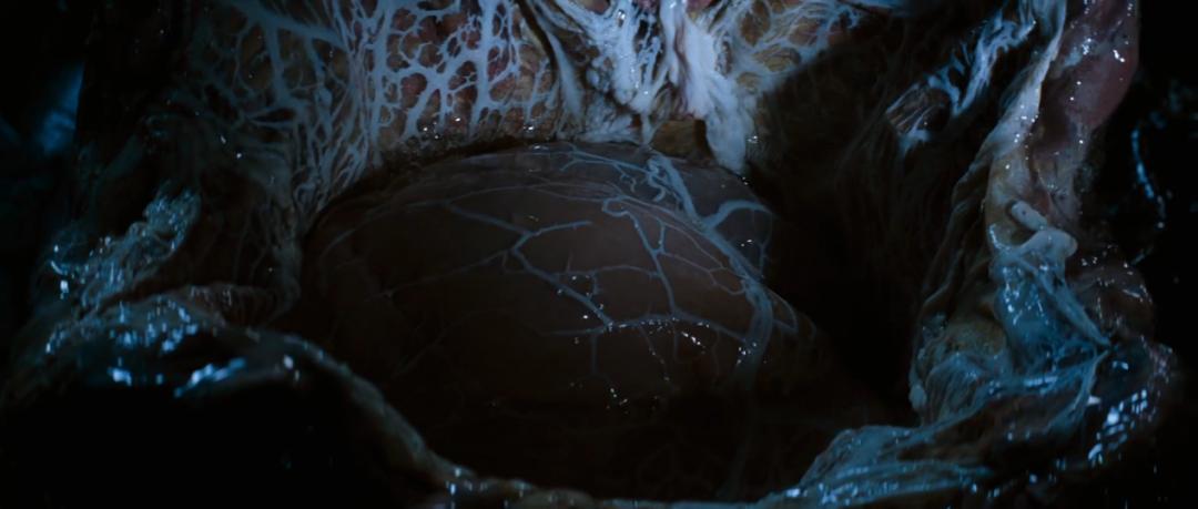 异形到底有多少种形态,异形到底存在吗