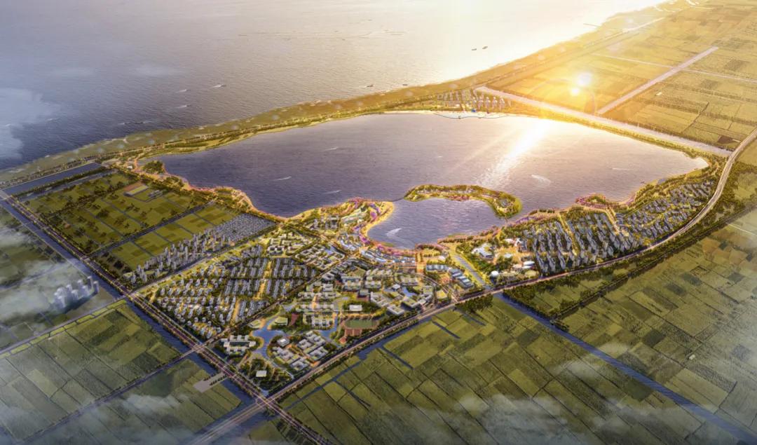 宋卫平杭州别墅,宋卫平杭州湾图片