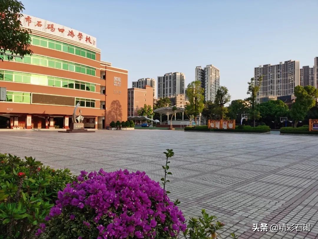 东莞石碣四海学校几时考试,石碣镇四海学校招生电话