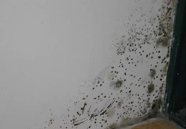 家里白墙小孩涂脏了怎么补救,墙面被孩子涂鸦怎么刷