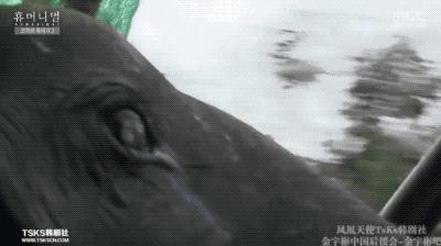 9.4分韩国催泪电视剧,韩国十部9.5评分催泪电影