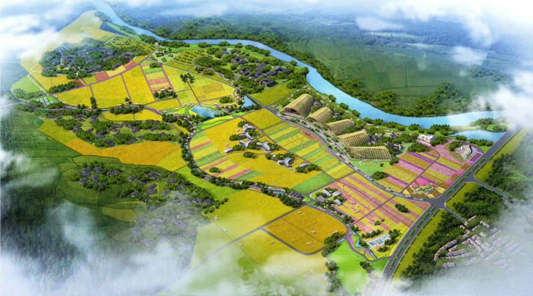 甜玉米新货上市,超级甜糯玉米新品种