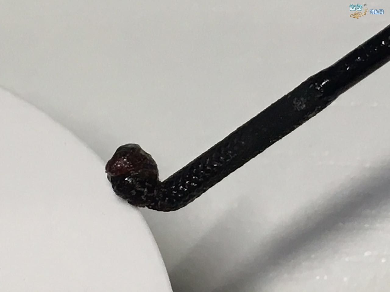 鱼竿小辫不打结绑法,竿稍小辫的正确绑法