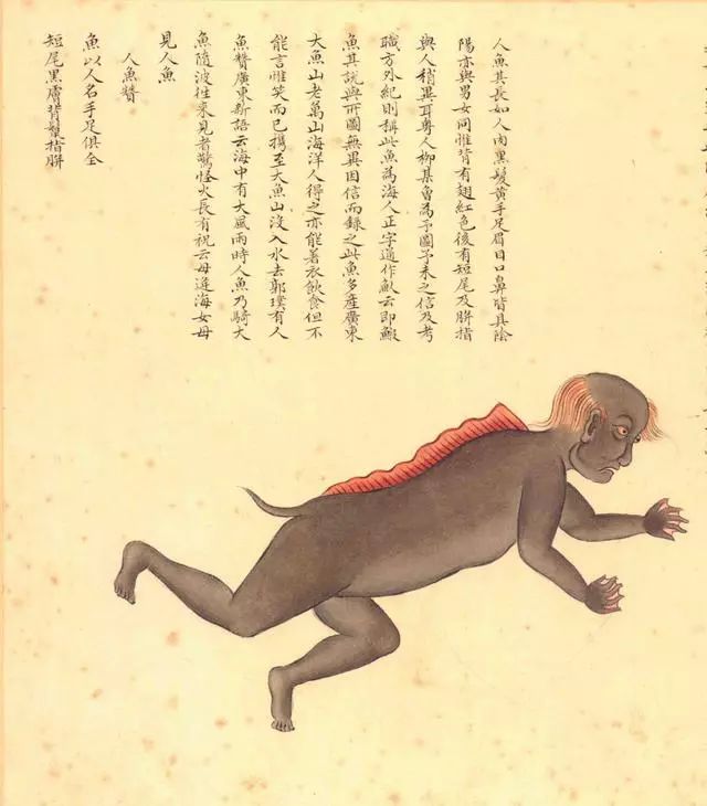 清代海错图有用吗,故宫海错图展