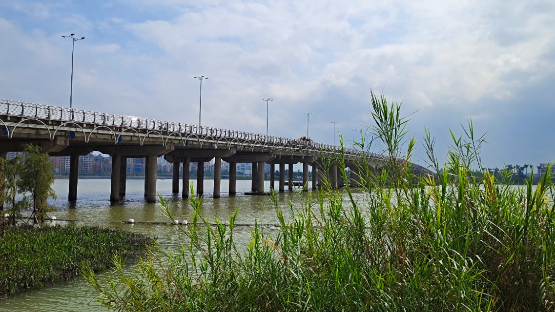 珠海井岸黄楊河湿地公园,20200927