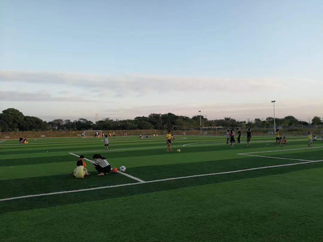 深度剖析村霸覆灭记,村霸后续