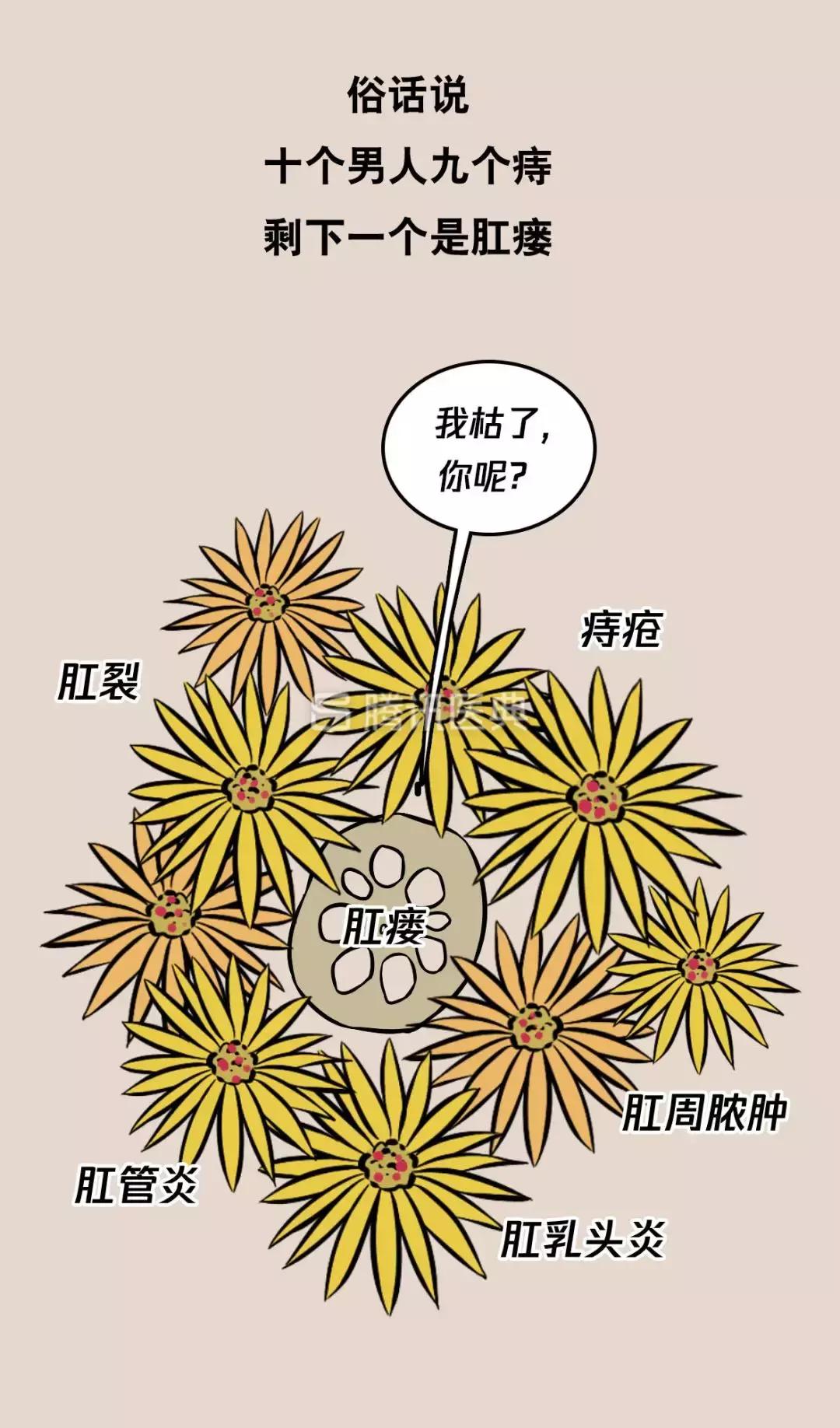 “*菊爆**后”痛到喊妈！真实看病经历泣血奉上，必须保护好菊花