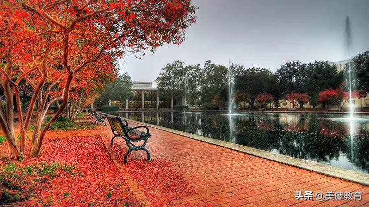 马里兰大学帕克分校本科读几年,马里兰大学留学生