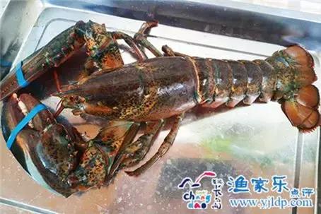 一瞥如希望中的憧憬，长岛乐驿陶的不同，是您忙碌后的期待！