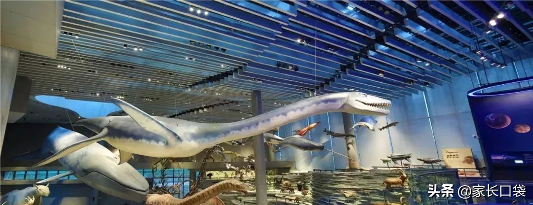 假期去哪里溜娃好玩,假期去哪玩便宜又好玩儿