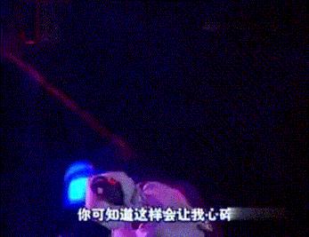 陈奕迅和谢霆锋的歌,陈奕迅比谢霆锋差几岁