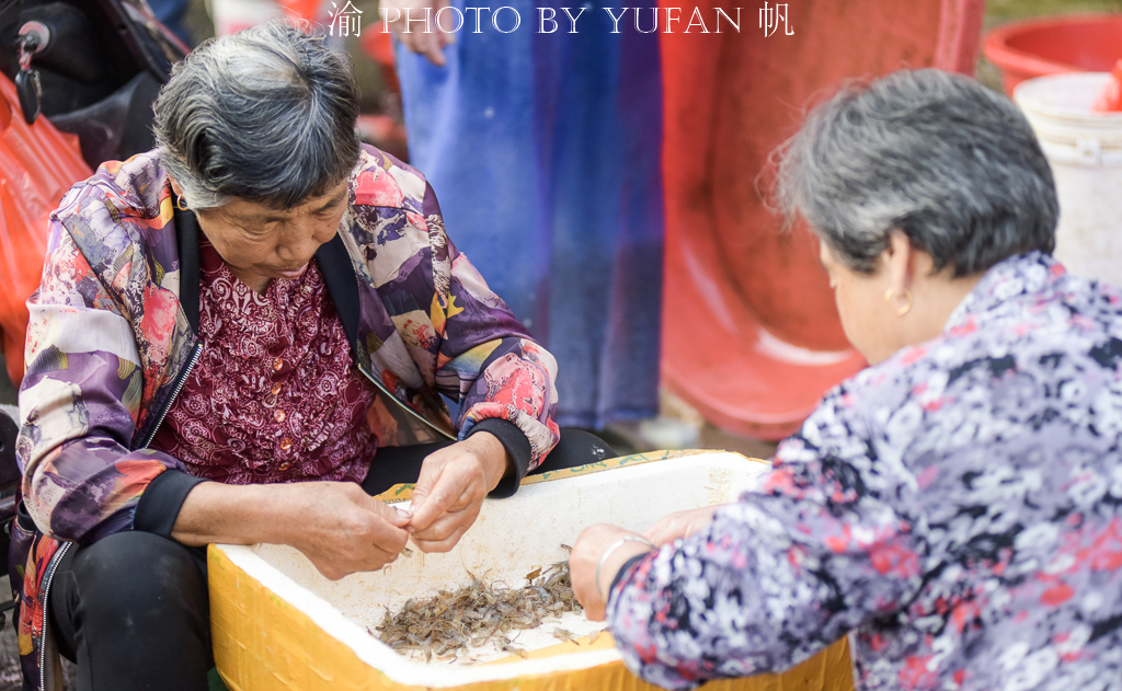 嘉兴江南古镇旅游,江南古镇乌镇西塘