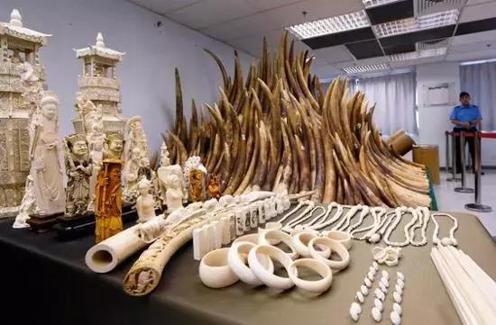 象牙女王事件,象牙女王被捕