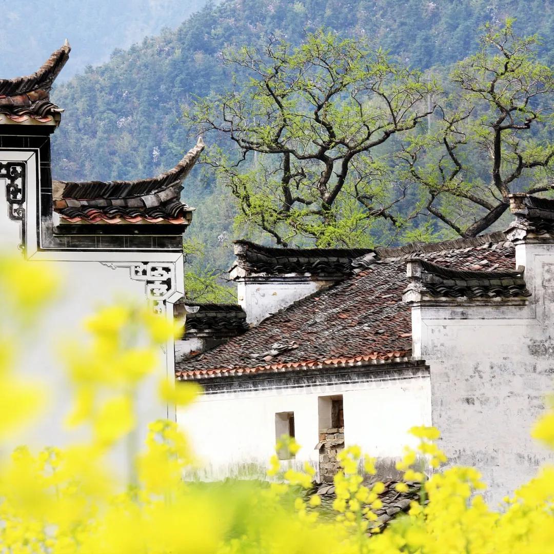 江西上饶最新发展,江西上饶第四大城市