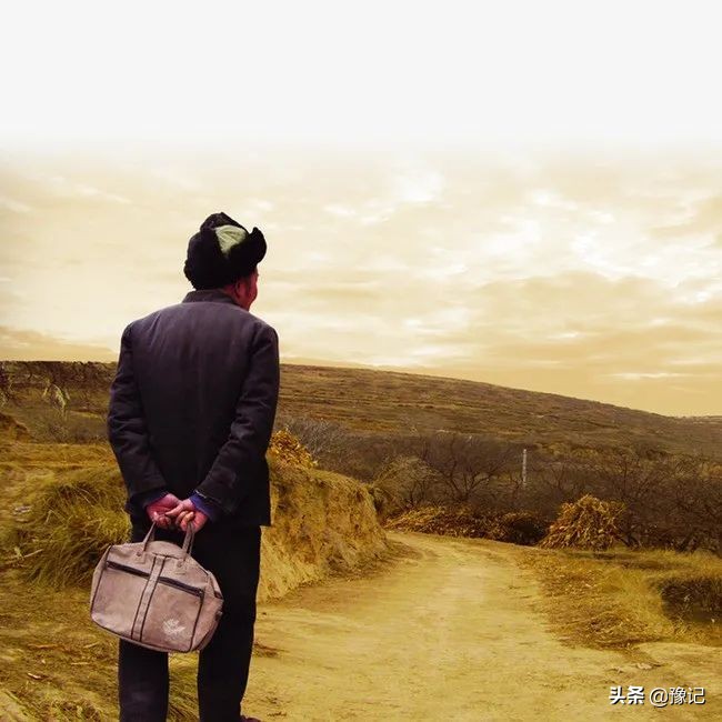 河南老槐花有什么好吃的,老家人爱吃的风味槐花