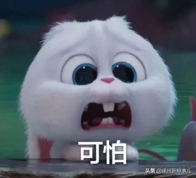 这道夏天常吃的菜，把4岁娃送进医院抢救