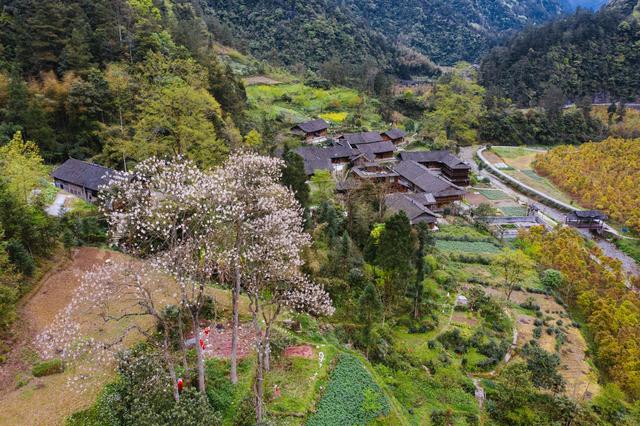 小南海地震遗址天气,这个地方为啥叫葫芦岛