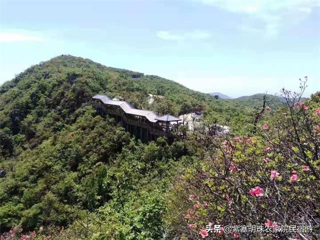 安吉藏龙百瀑山庄,浙江安吉藏龙百瀑民宿推荐