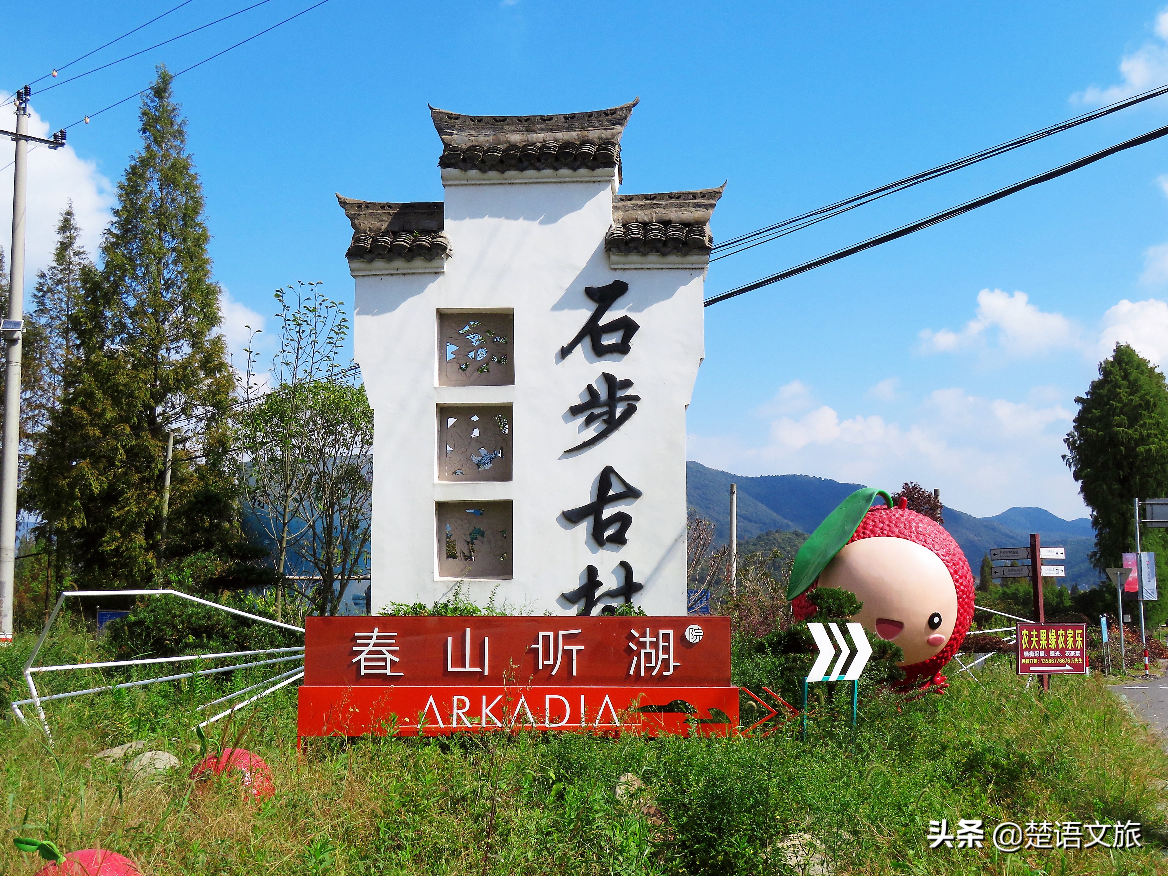 盛产杨梅而闻名的县是哪里,杨梅之乡余姚在什么省