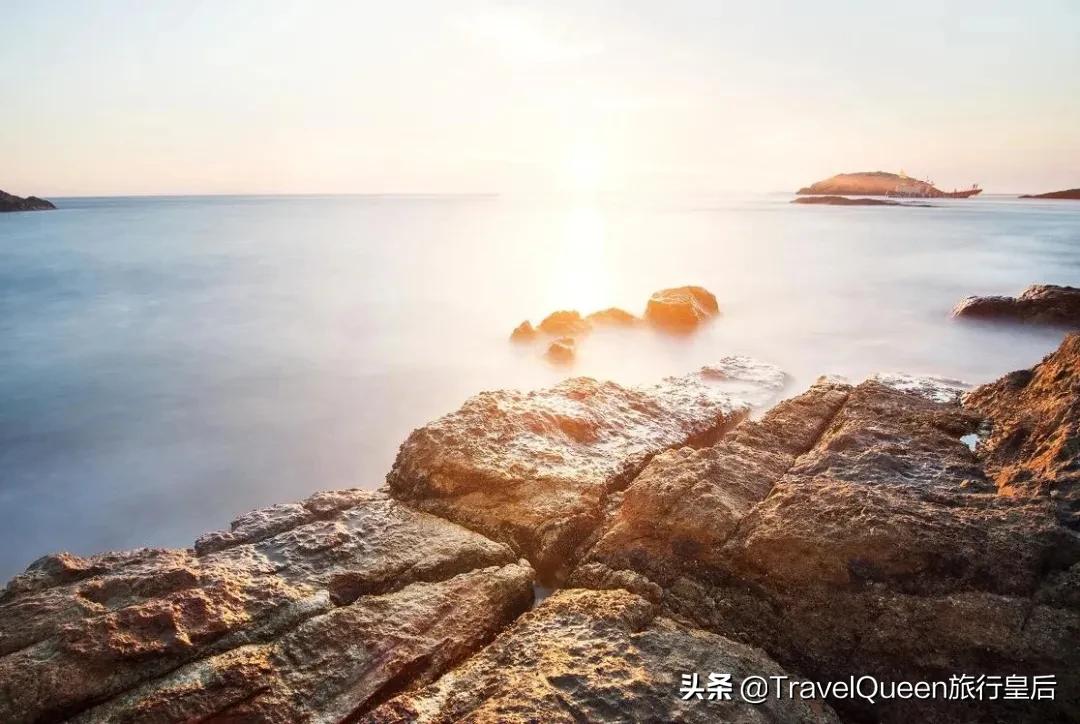 动物森友会无人岛一天可以去几次,动物森友会所有虫类图鉴