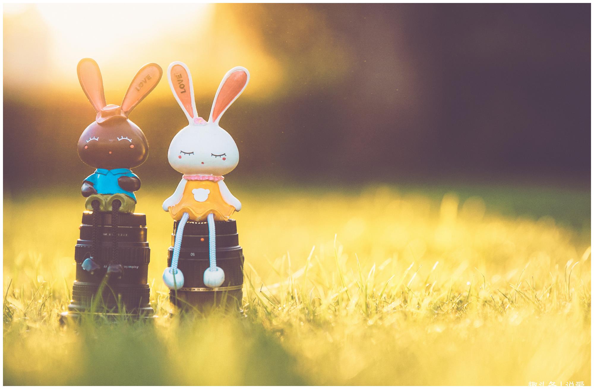 异性之间真的有纯纯的友谊吗,异性之间有纯粹的友谊关系吗