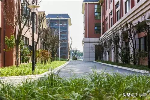 武侯外国语学校2022小升初,武侯外国语学校小学新校区怎么样