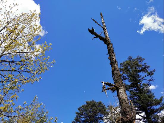 海螺沟燕子沟四日游,海螺沟燕子沟风景区