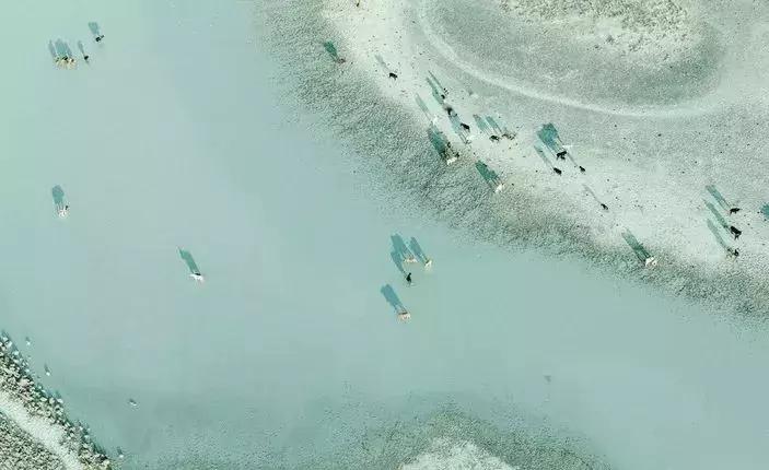 多国旅行签证办理流程,全球旅行签证攻略