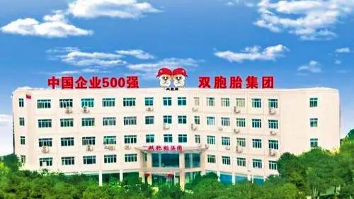 双胞胎集团江西民企第一,双胞胎集团在江西哪里有